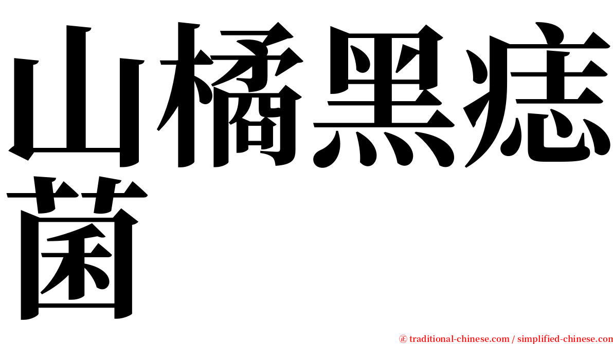 山橘黑痣菌 serif font