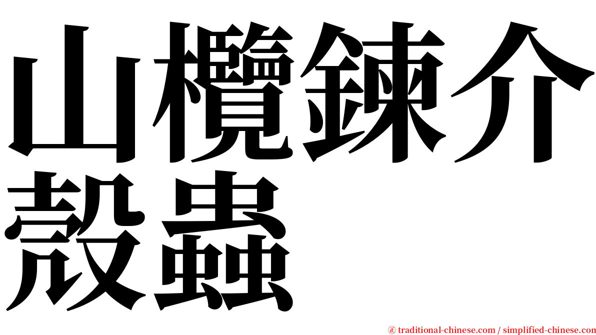 山欖鍊介殼蟲 serif font