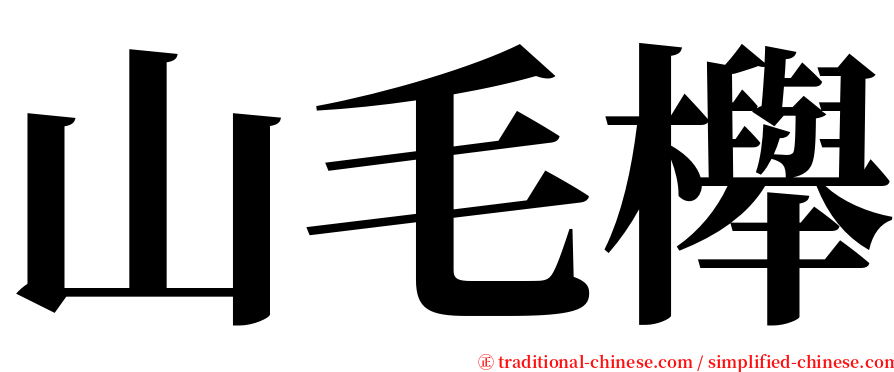 山毛櫸 serif font