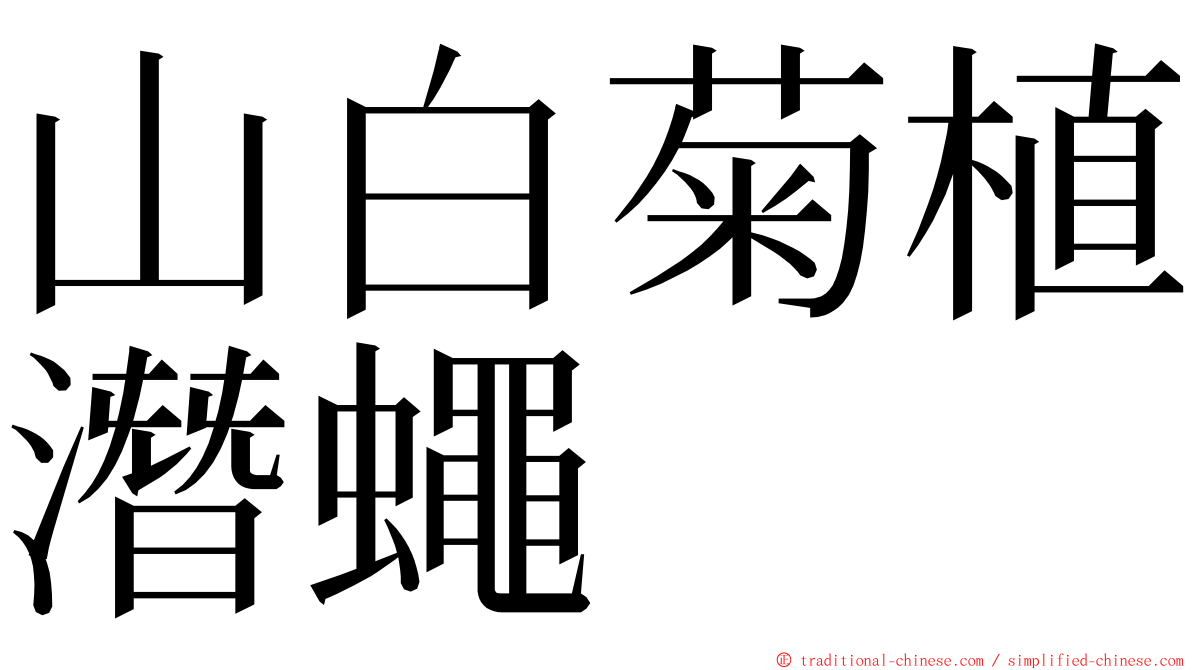 山白菊植潛蠅 ming font