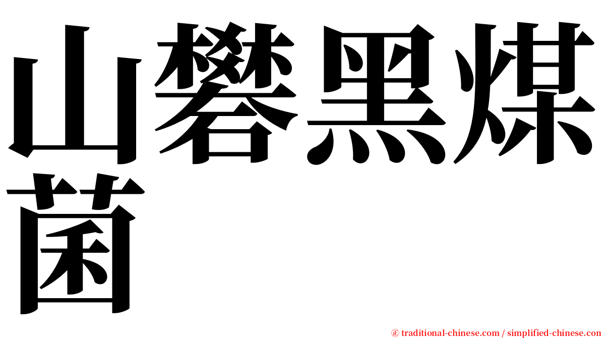 山礬黑煤菌 serif font