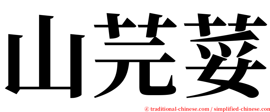 山芫荽 serif font