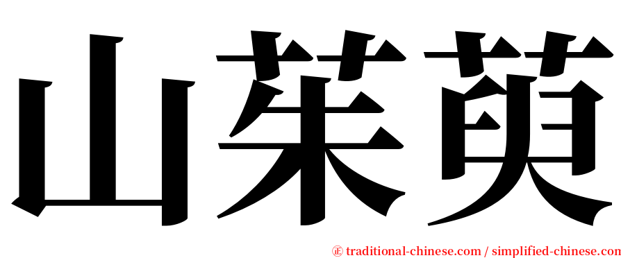 山茱萸 serif font