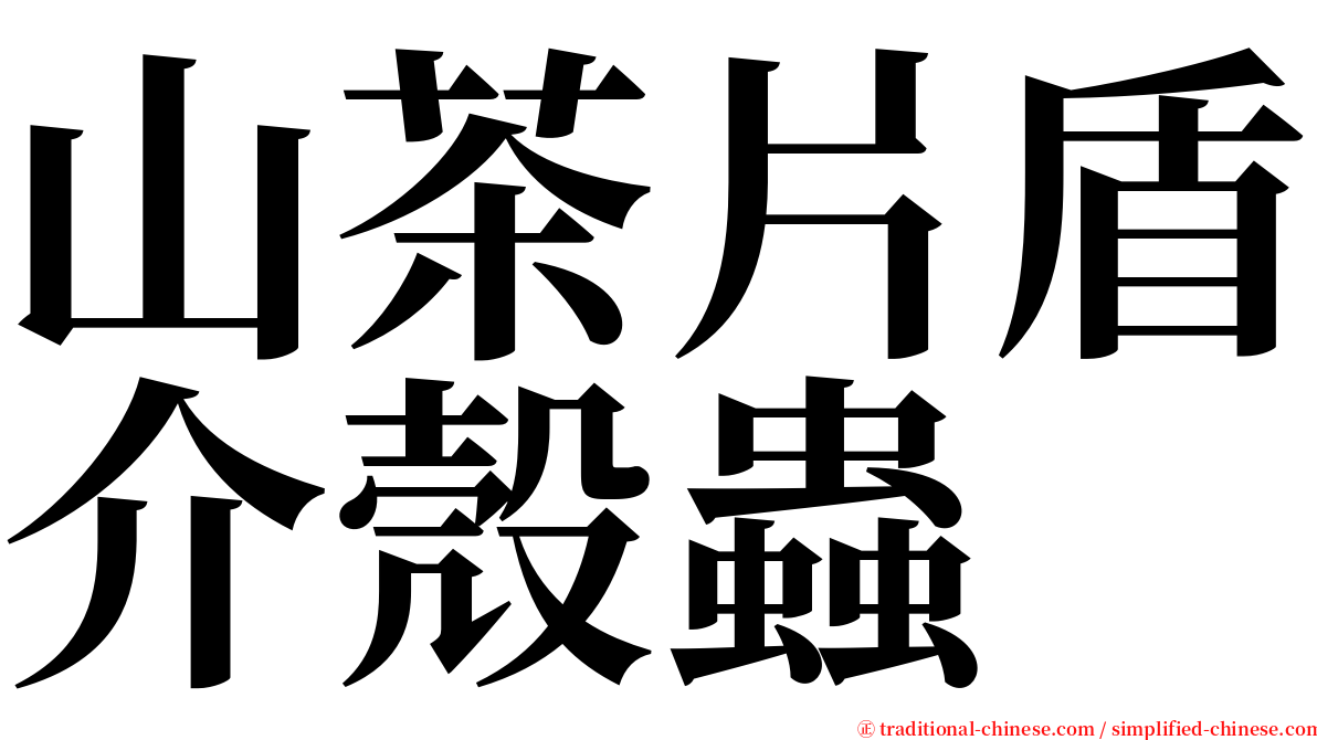 山茶片盾介殼蟲 serif font
