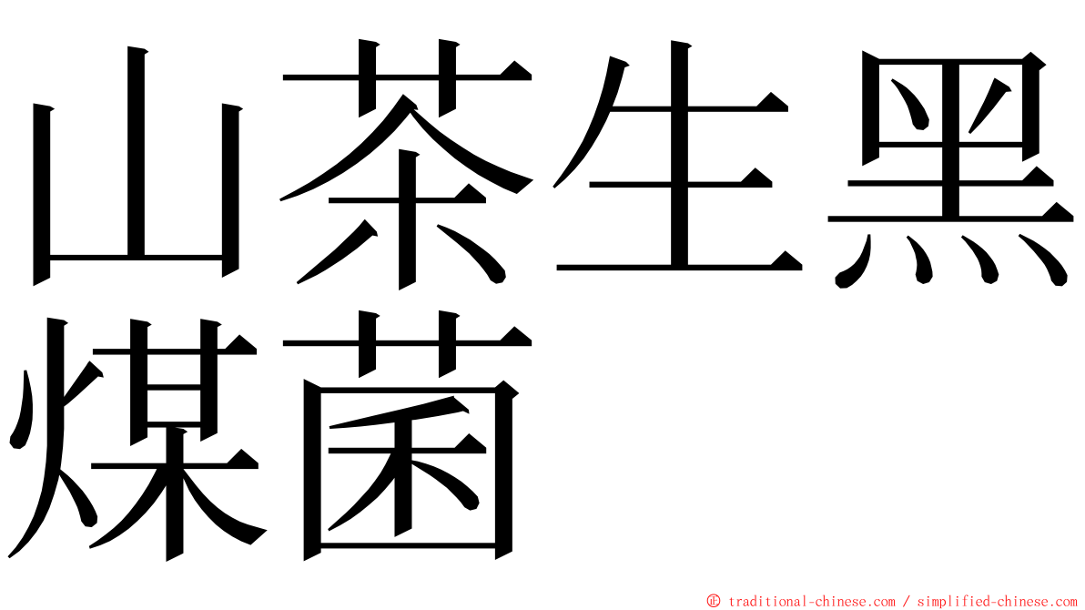 山茶生黑煤菌 ming font