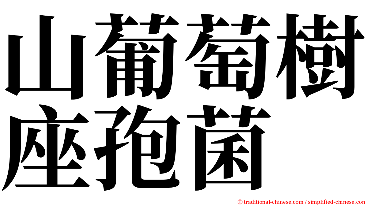 山葡萄樹座孢菌 serif font