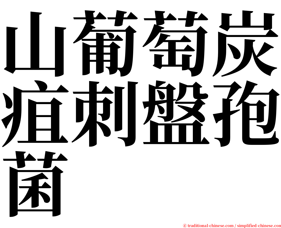 山葡萄炭疽刺盤孢菌 serif font