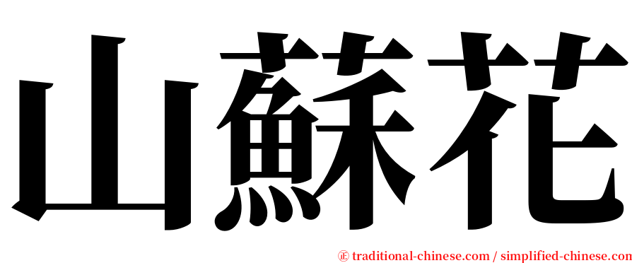 山蘇花 serif font