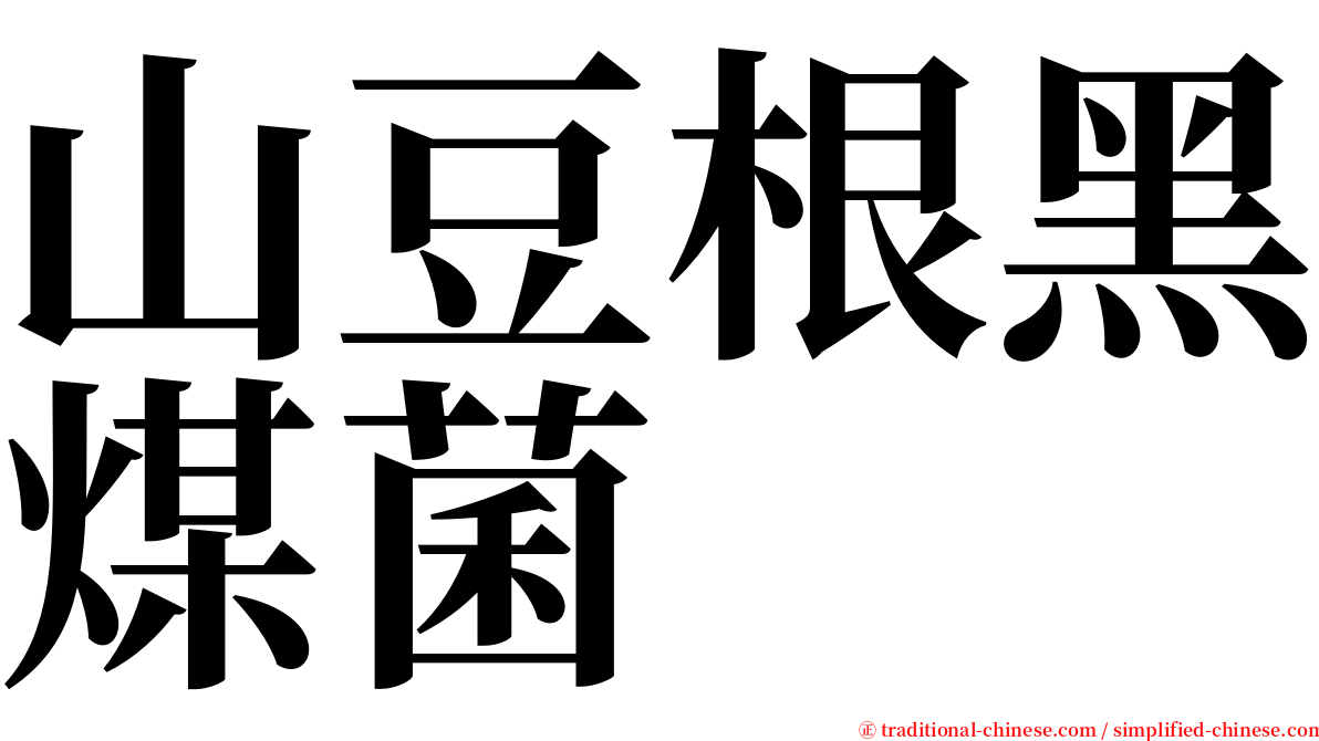 山豆根黑煤菌 serif font