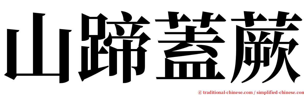 山蹄蓋蕨 serif font