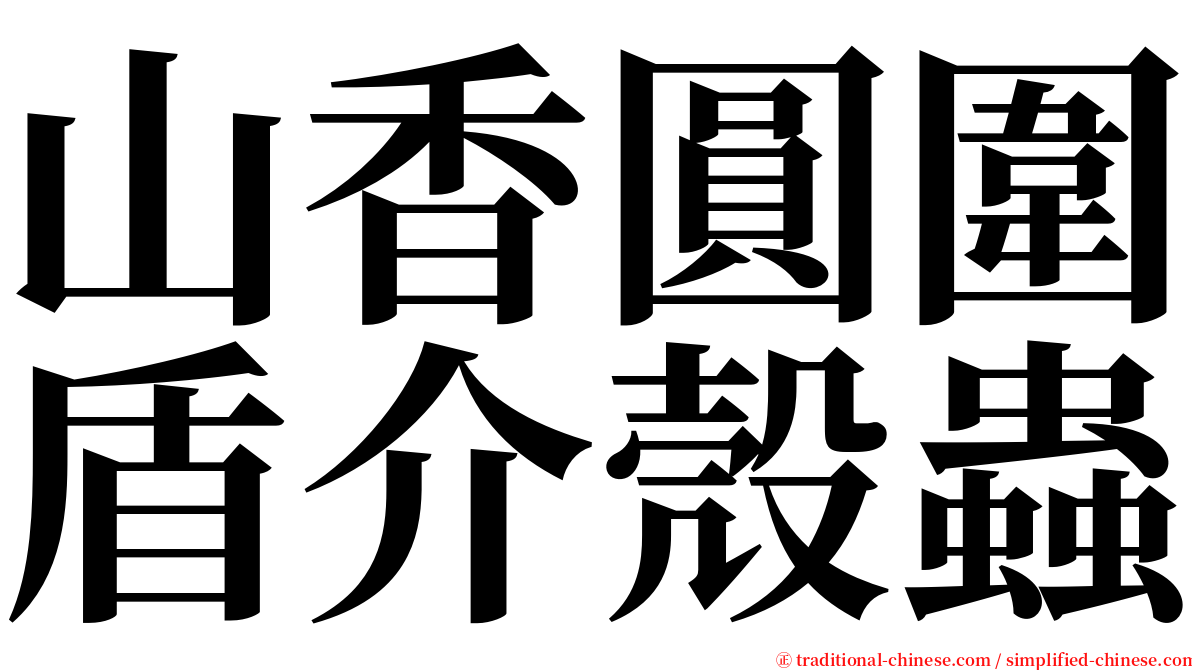 山香圓圍盾介殼蟲 serif font