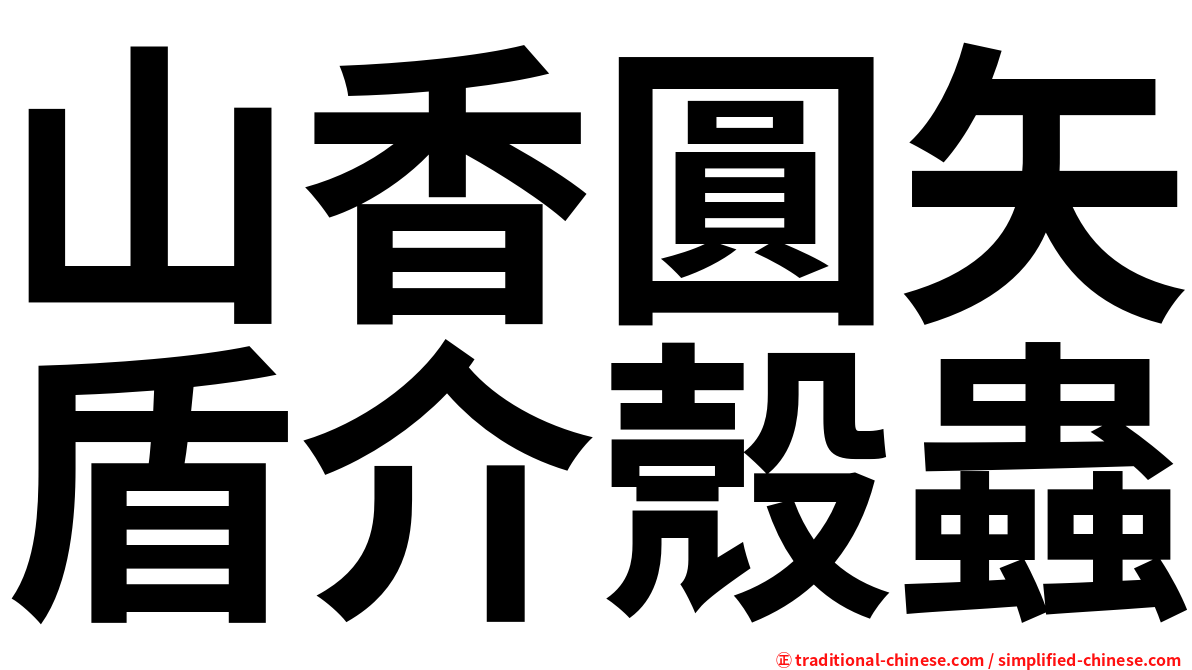 山香圓矢盾介殼蟲