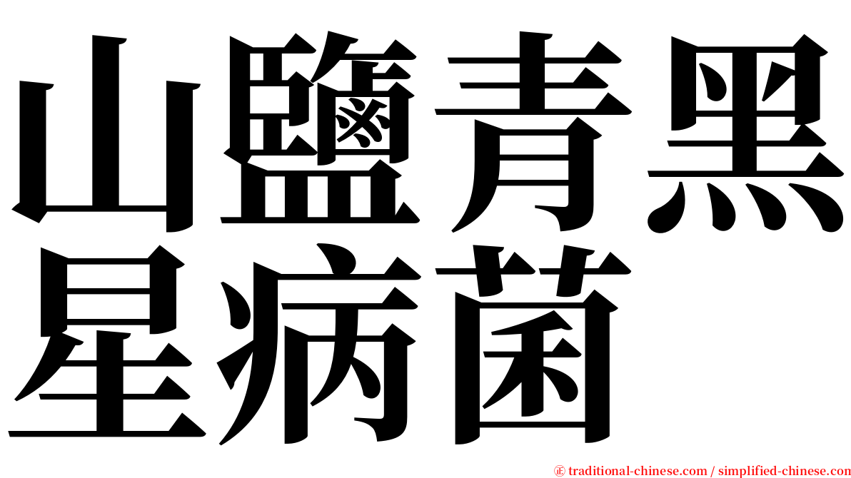 山鹽青黑星病菌 serif font