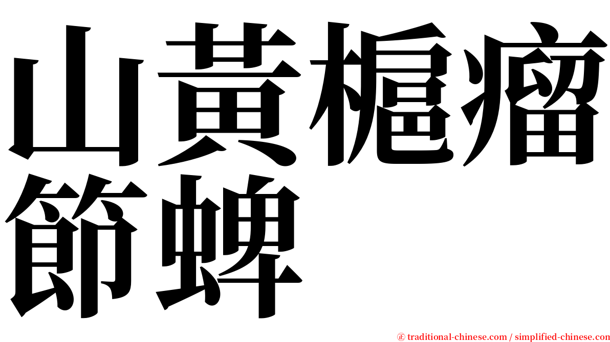 山黃槴瘤節蜱 serif font