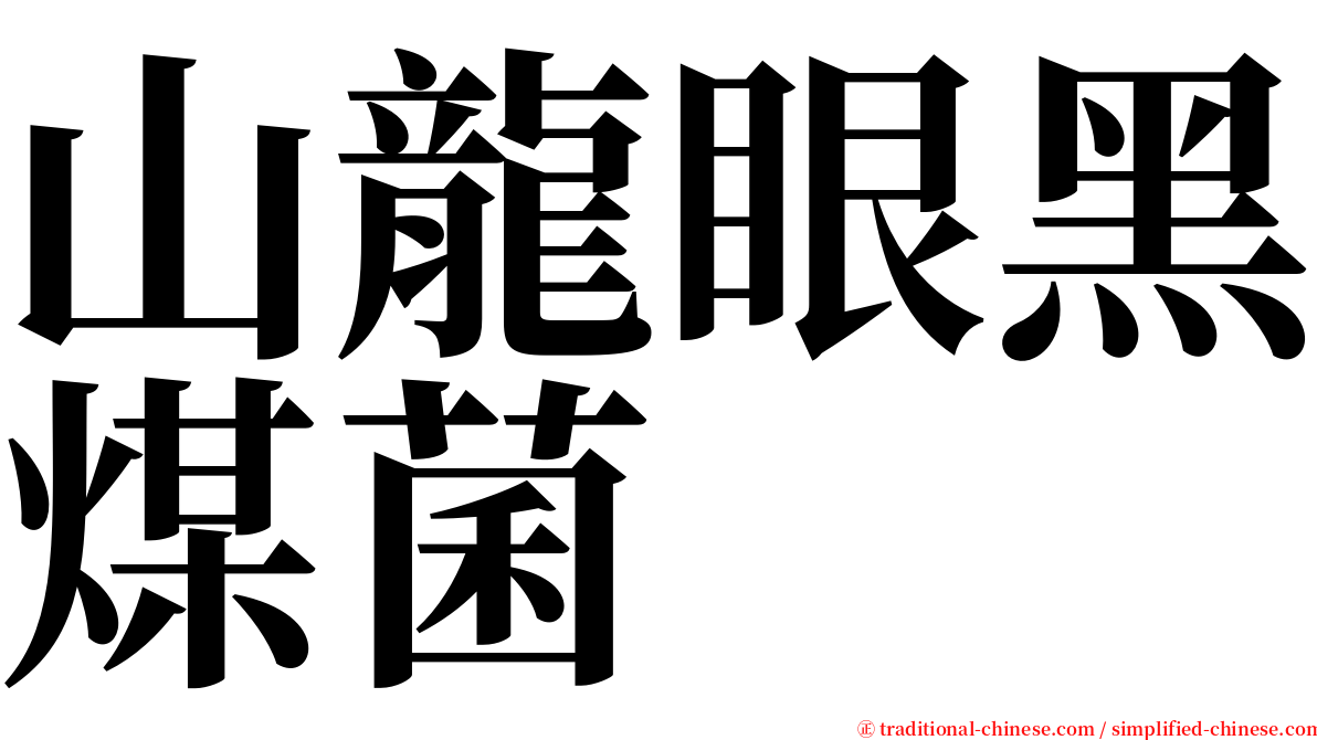 山龍眼黑煤菌 serif font