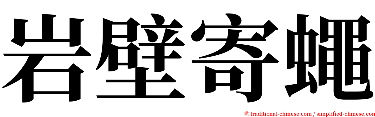 岩壁寄蠅 serif font