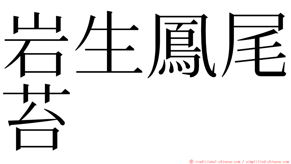 岩生鳳尾苔 ming font