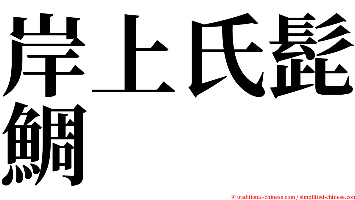 岸上氏髭鯛 serif font