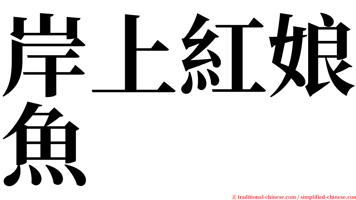 岸上紅娘魚 serif font