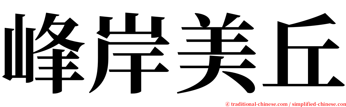 峰岸美丘 serif font