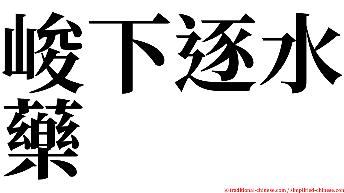 峻下逐水藥 serif font