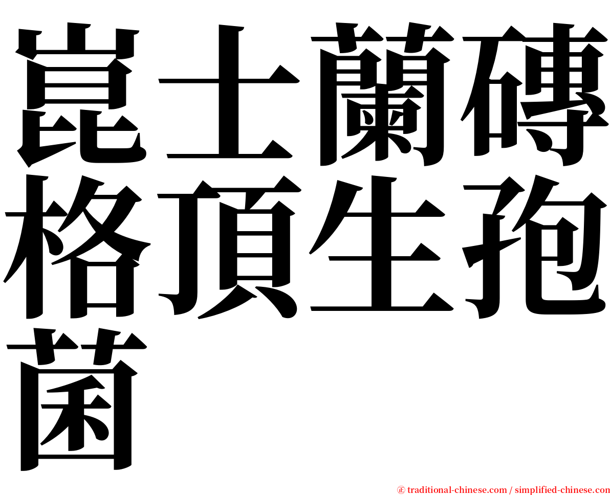 崑士蘭磚格頂生孢菌 serif font