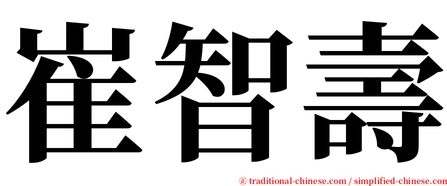 崔智壽 serif font