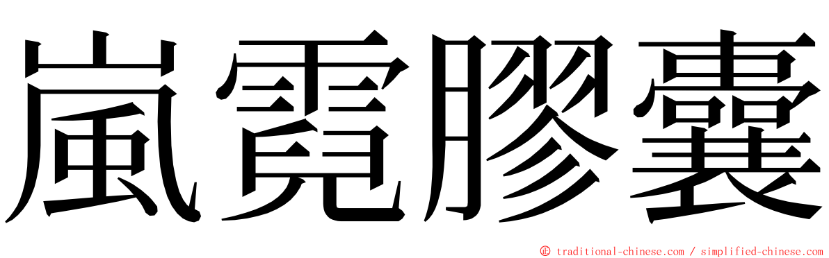 嵐霓膠囊 ming font