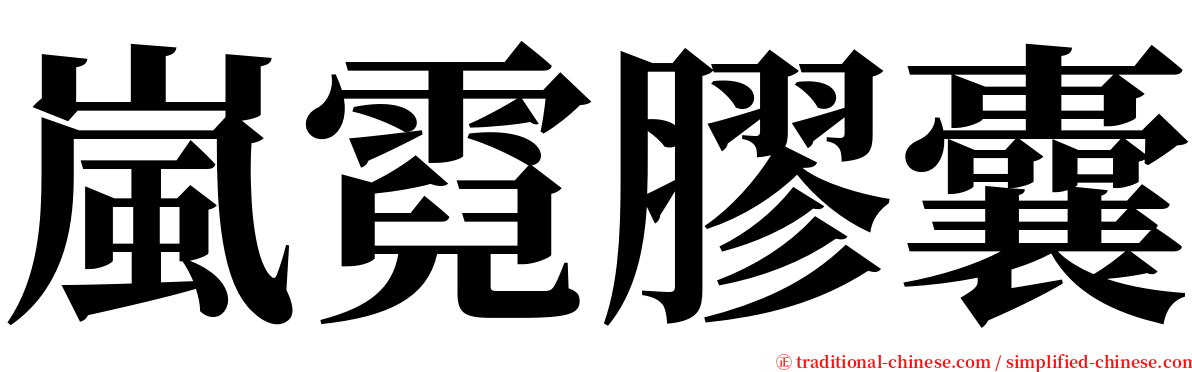 嵐霓膠囊 serif font