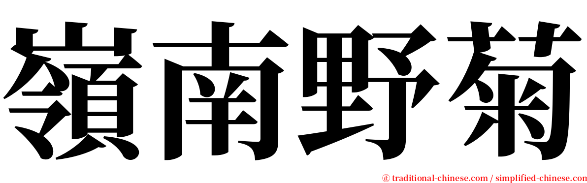 嶺南野菊 serif font