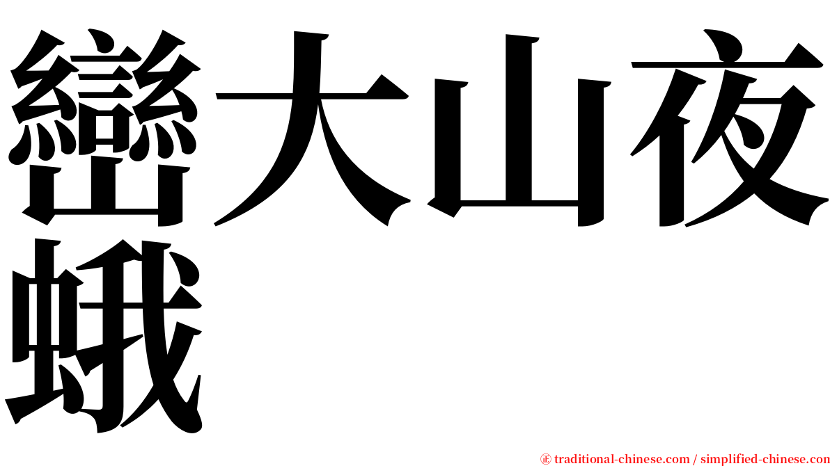 巒大山夜蛾 serif font