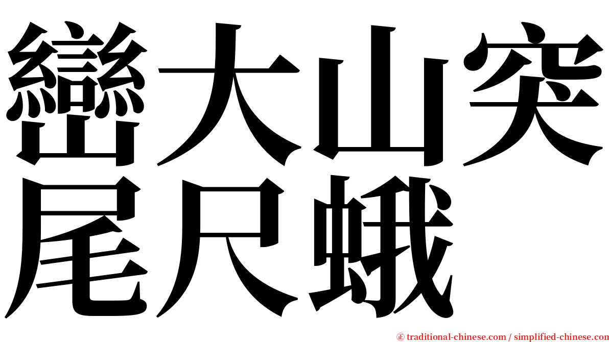 巒大山突尾尺蛾 serif font