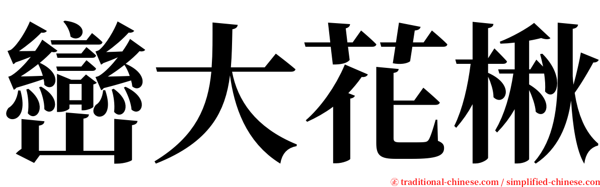 巒大花楸 serif font