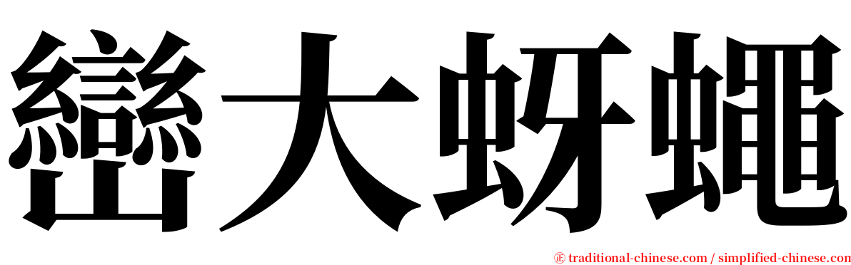 巒大蚜蠅 serif font