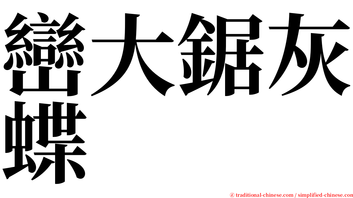 巒大鋸灰蝶 serif font