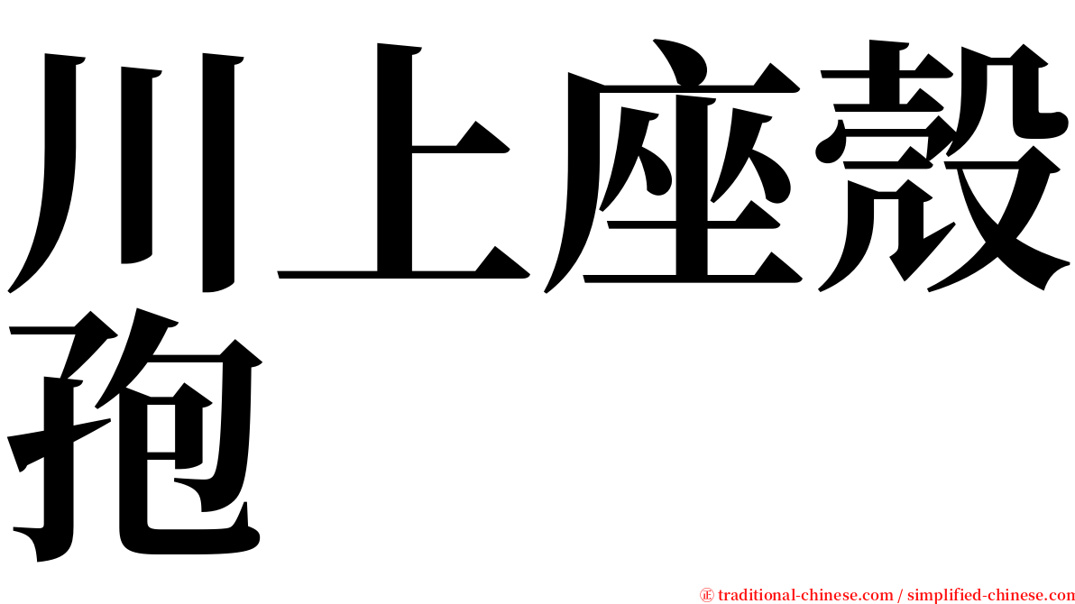 川上座殼孢 serif font