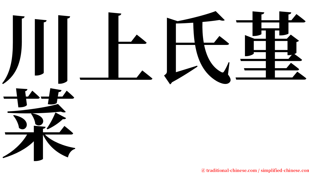 川上氏堇菜 serif font