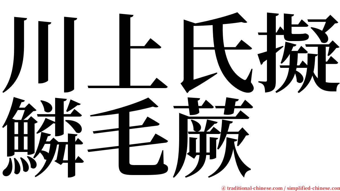 川上氏擬鱗毛蕨 serif font