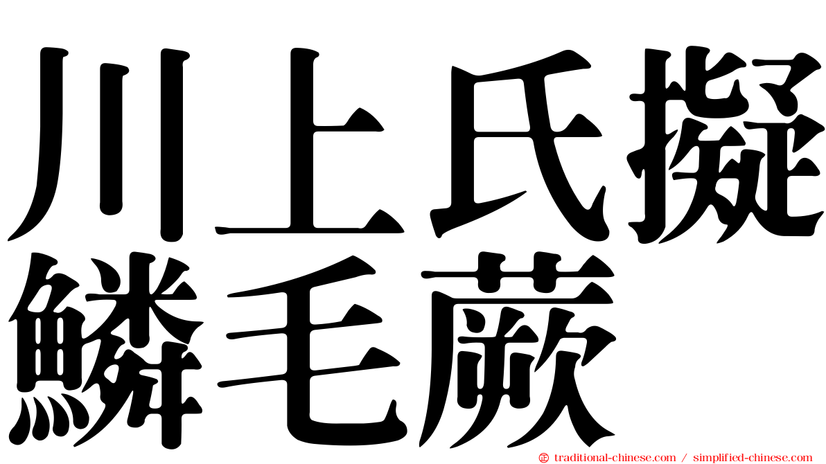 川上氏擬鱗毛蕨