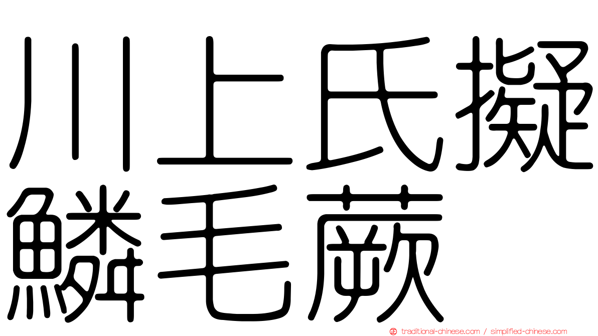 川上氏擬鱗毛蕨