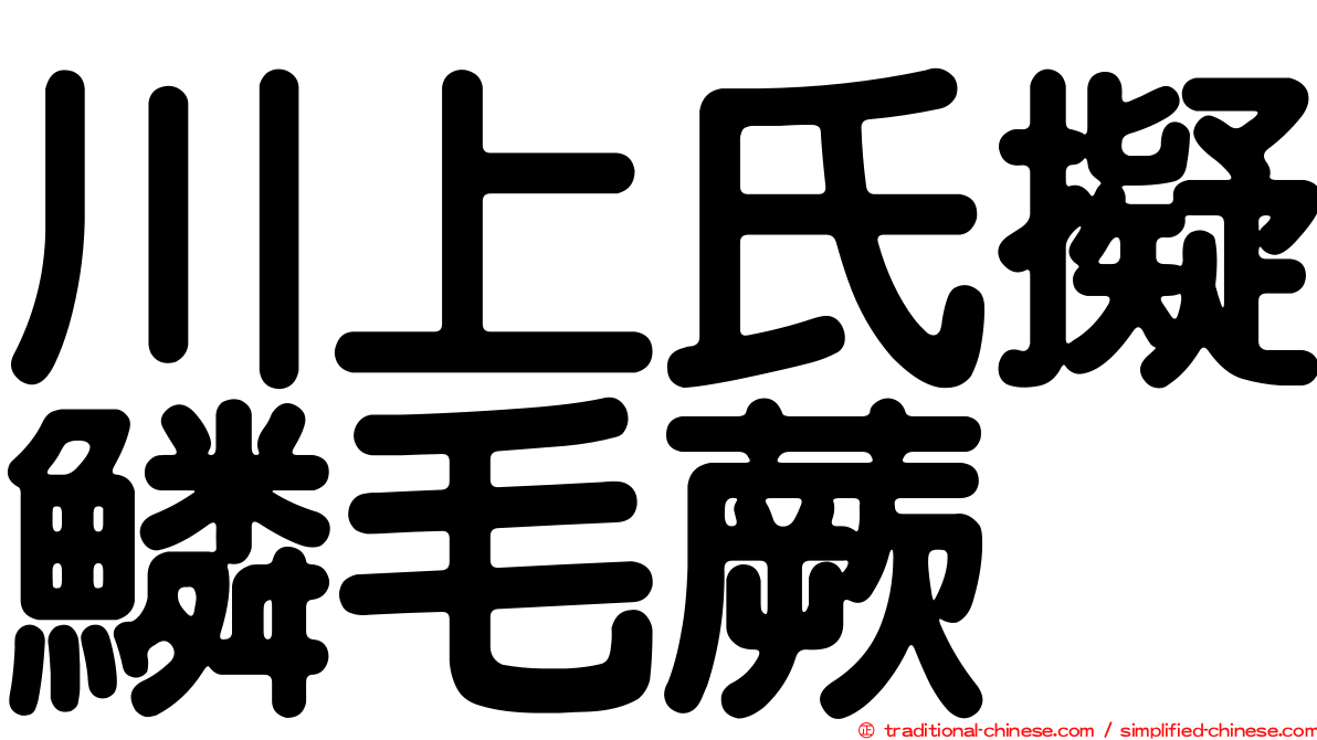 川上氏擬鱗毛蕨