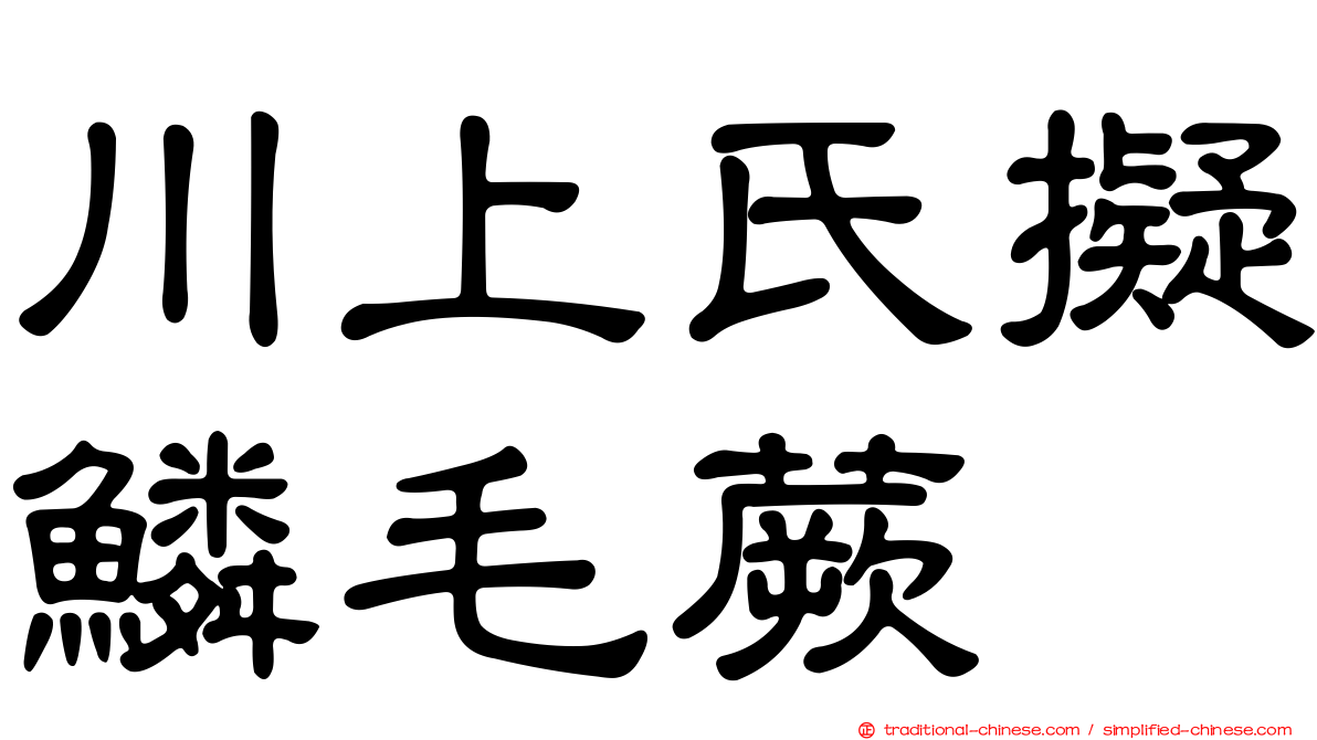 川上氏擬鱗毛蕨