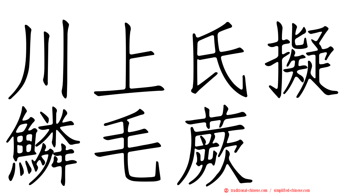 川上氏擬鱗毛蕨