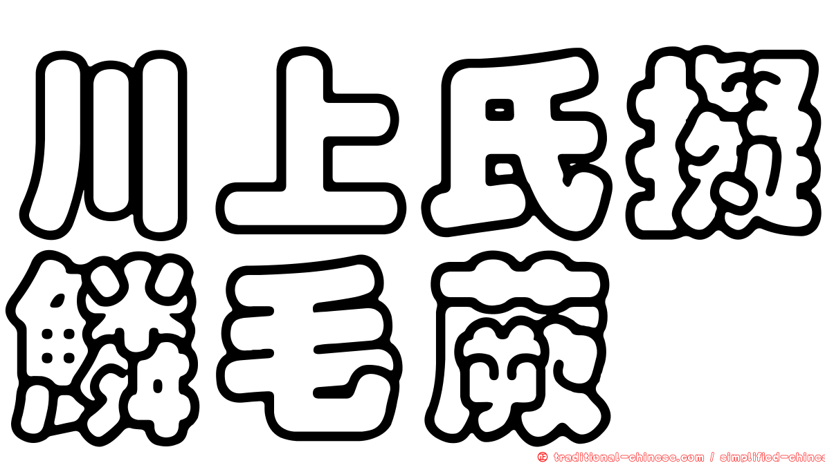 川上氏擬鱗毛蕨