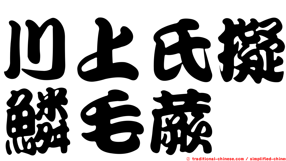 川上氏擬鱗毛蕨