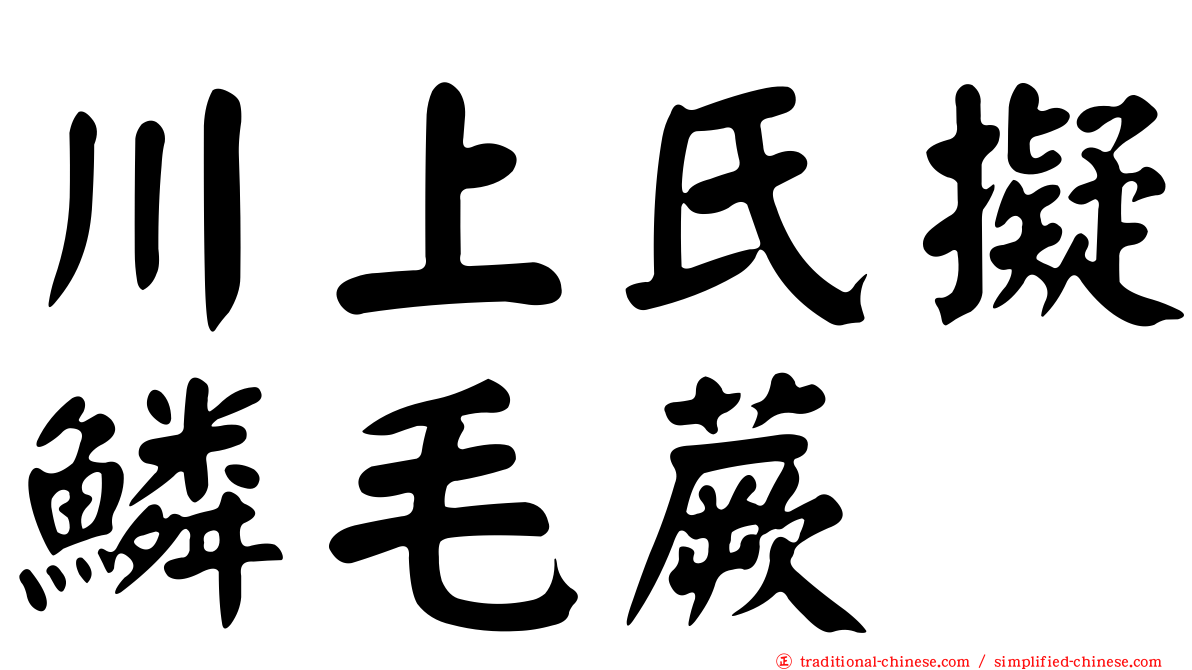 川上氏擬鱗毛蕨