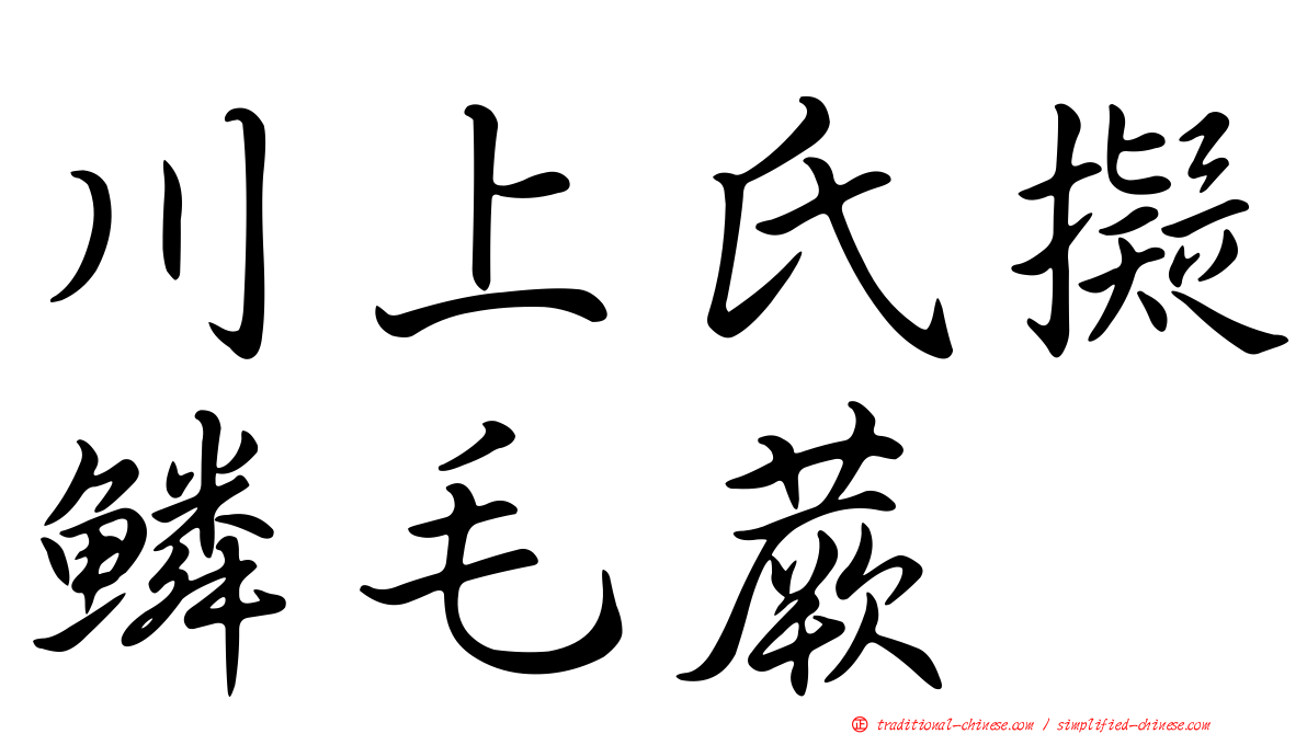 川上氏擬鱗毛蕨
