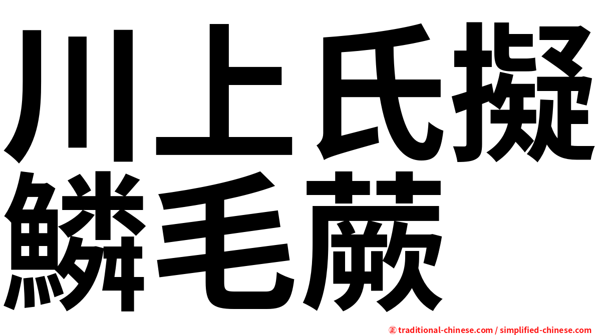 川上氏擬鱗毛蕨