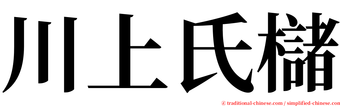 川上氏櫧 serif font