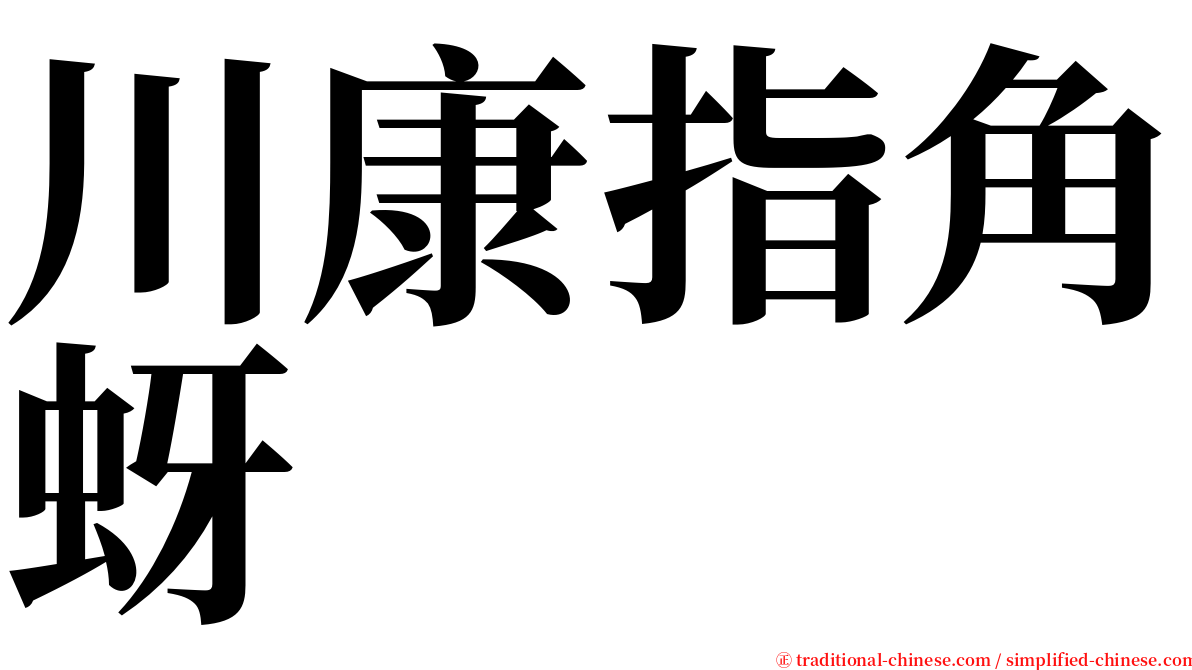 川康指角蚜 serif font